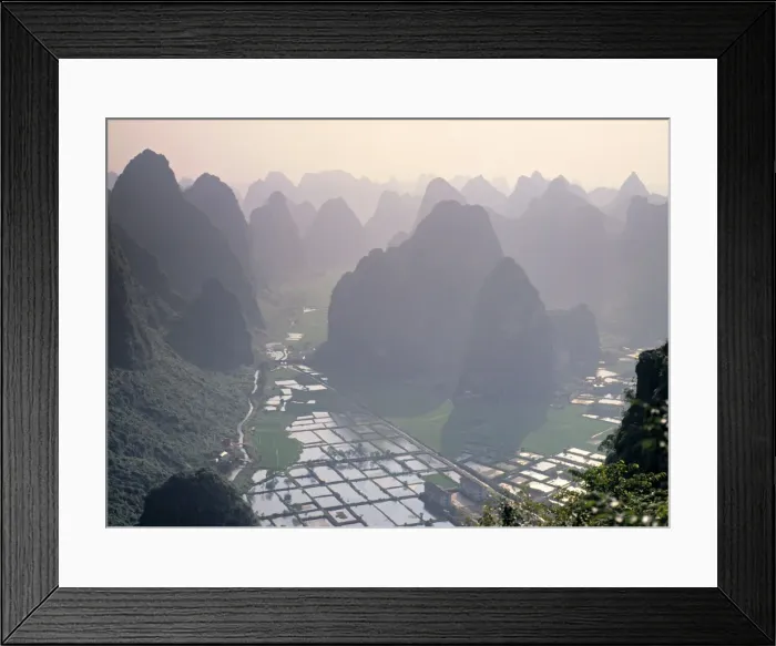 Framed Print : Rice fields Framed Print : Rice fields