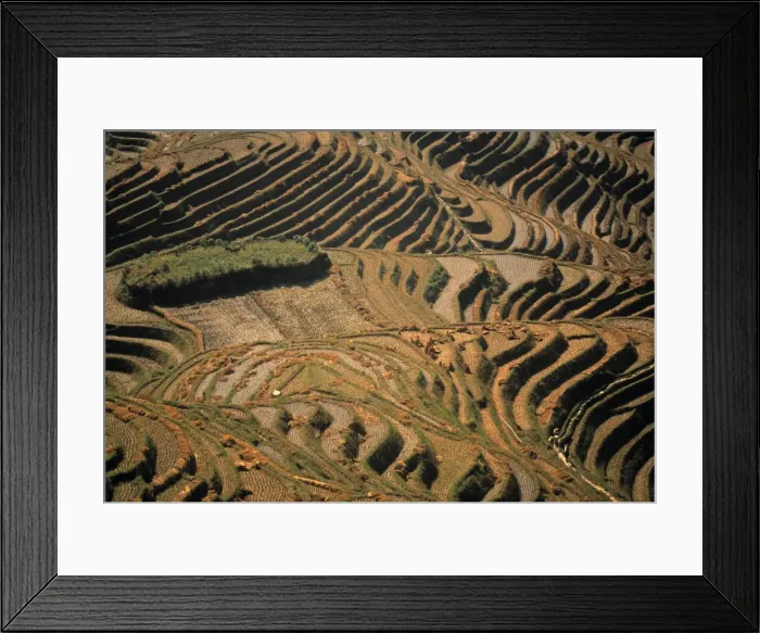 Framed Print : Terraced Ricefields Framed Print : Terraced Ricefields