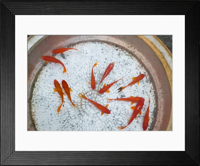 Framed Print : China, Yunnan Province Framed Print : China, Yunnan Province
