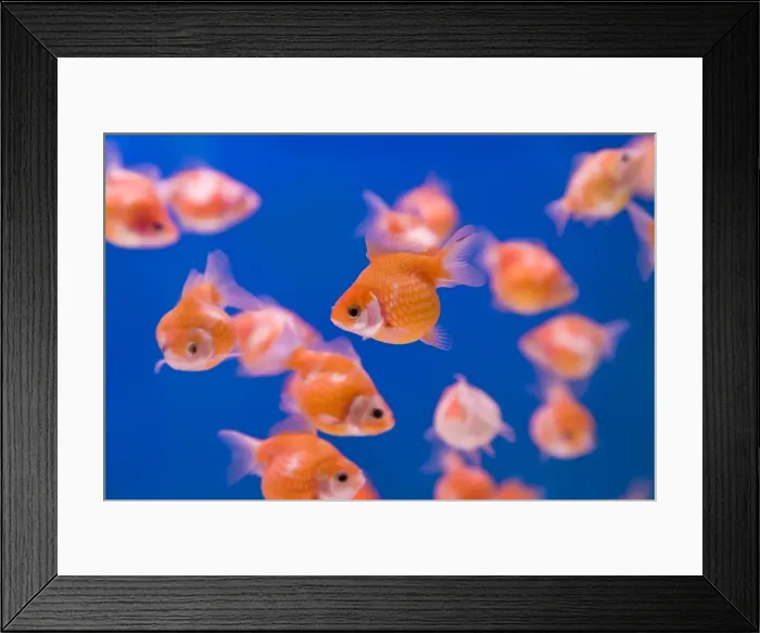 Framed Print : Asia, China Framed Print : Asia, China
