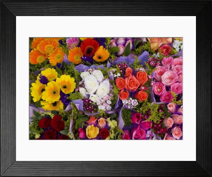 Framed Print : China, Hong Kong, Kowloon, flower market Framed Print : China, Hong Kong, Kowloon, flower market