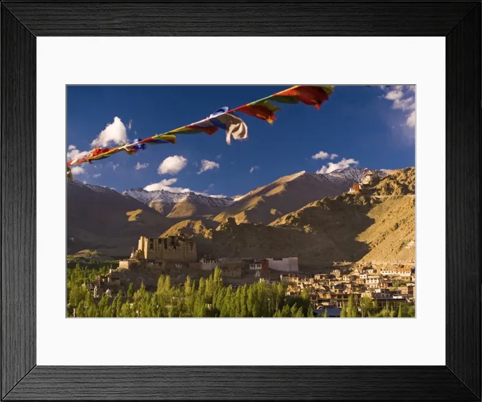 Framed Print : View across Leh and its historic Victory Fort, Leh, Ladakh, India Framed Print : View across Leh and its historic Victory Fort, Leh, Ladakh, India