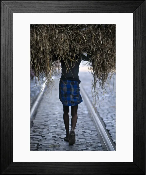 Framed Print : Calcutta, West Bengal Framed Print : Calcutta, West Bengal