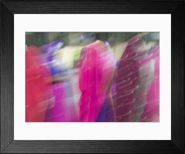 Framed Print : Woman wearing Saris, Udaipur, Rajasthan, India Framed Print : Woman wearing Saris, Udaipur, Rajasthan, India