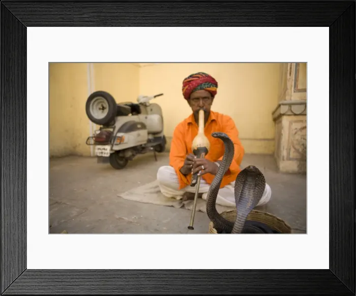 Framed Print : Snake Charmer Framed Print : Snake Charmer