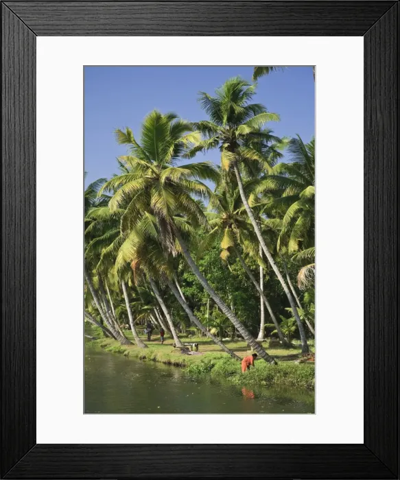 Framed Print : Kerala Backwaters near Allapuzha Framed Print : Kerala Backwaters near Allapuzha