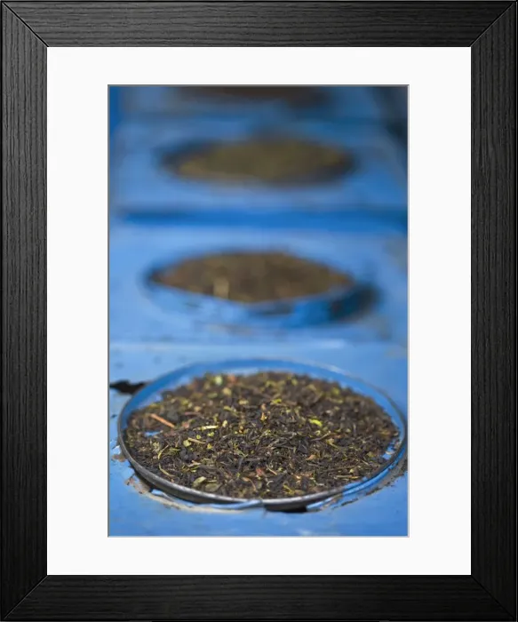 Framed Print : India, West Bengal Framed Print : India, West Bengal