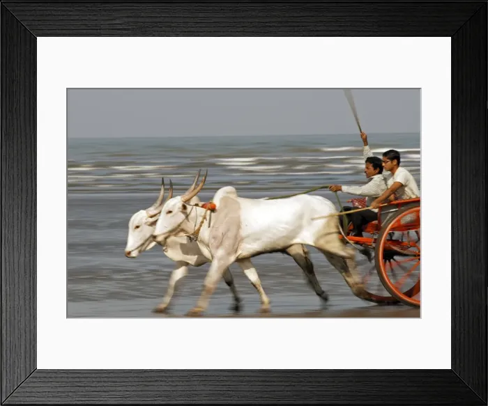 Framed Print : India, Maharashtra Framed Print : India, Maharashtra