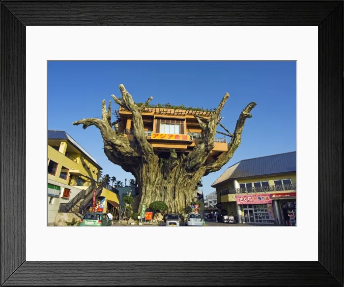 Framed Print : Tree top restaurant on giant tree Framed Print : Tree top restaurant on giant tree