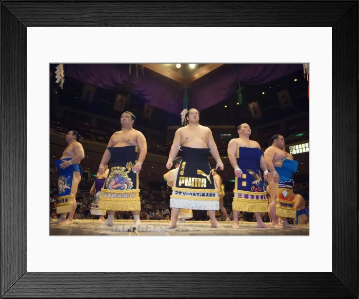 Framed Print : Grand Taikai Sumo Wrestling Tournament Dohyo ring entering Framed Print : Grand Taikai Sumo Wrestling Tournament Dohyo ring entering