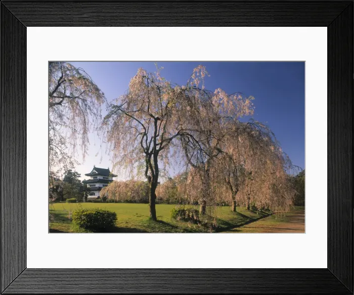 Framed Print : Castle, Hirosaki Framed Print : Castle, Hirosaki