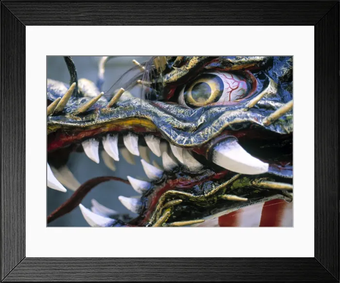 Framed Print : Chinese Dragon Framed Print : Chinese Dragon