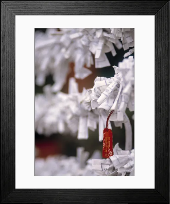 Framed Print : Paper Wishes Framed Print : Paper Wishes