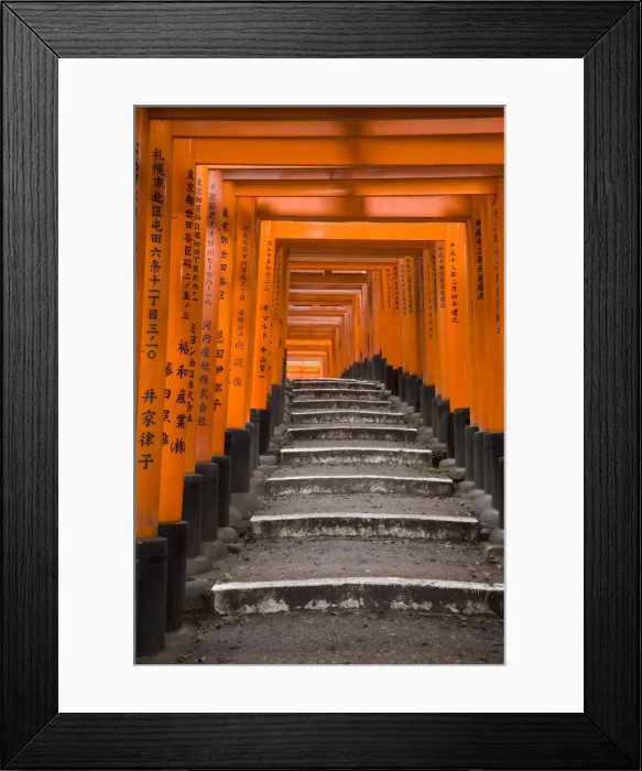 Framed Print : Torii gates, Fushimi Inari Taisha Shrine, Kyoto, Honshu, Japan