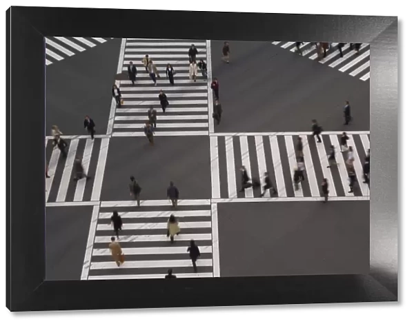Sukiyabashi Pedestrian Crossing, Ginza, Tokyo, Japan