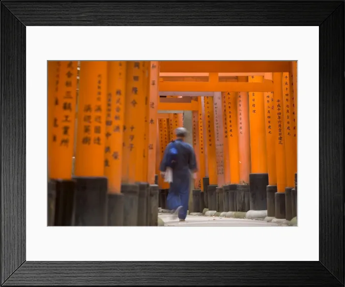 Framed Print : Torii gates Framed Print : Torii gates