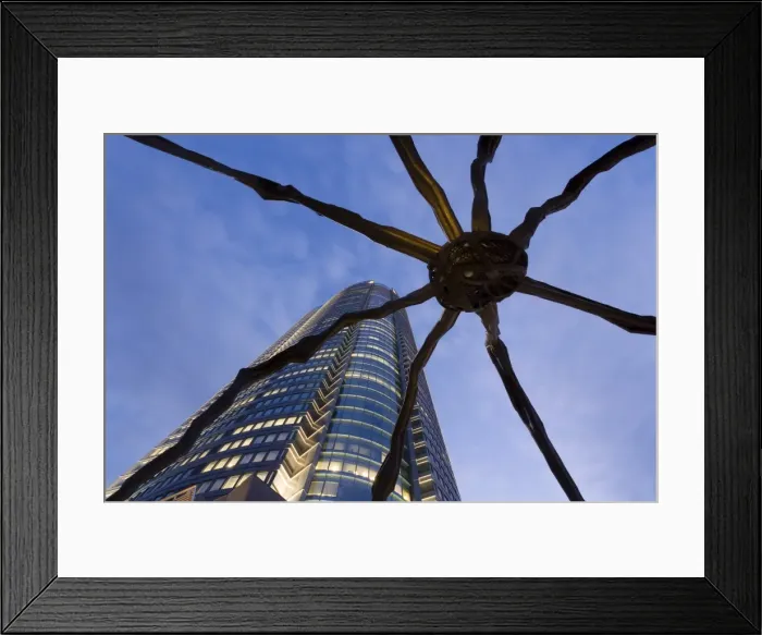 Framed Print : Japan, Honshu