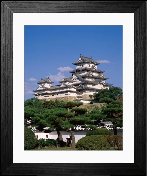 Framed Print : Himeji Castle / Main Tower Framed Print : Himeji Castle / Main Tower