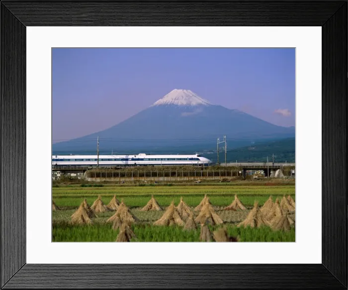 Framed Print : Mount Fuji / Bullet Train & Rice Fields, Fuji, Honshu, Japan Framed Print : Mount Fuji / Bullet Train & Rice Fields, Fuji, Honshu, Japan