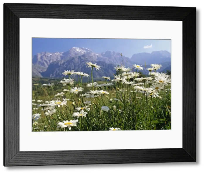Framed Print : Kyrgyzstan, Arslanbob, Fergana Mountain Range Framed Print : Kyrgyzstan, Arslanbob, Fergana Mountain Range