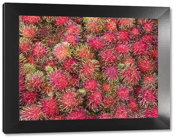Malaysia, Lycee fruits - detail of Rambutan fruit