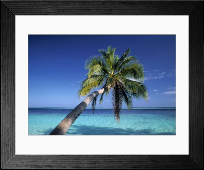Framed Print : Tropical beach Framed Print : Tropical beach