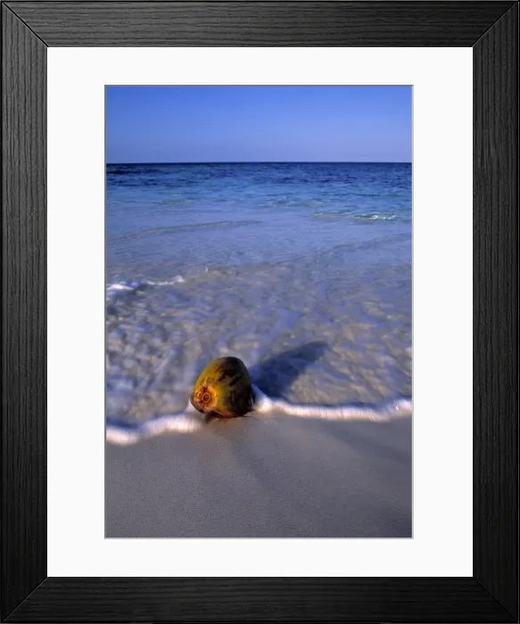 Framed Print : Maldives, Indian Ocean Framed Print : Maldives, Indian Ocean