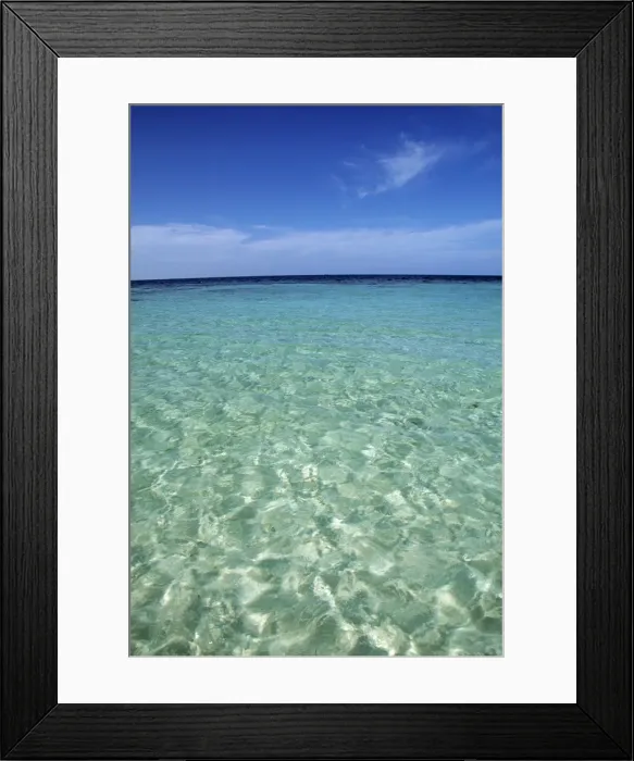 Framed Print : Tropical beach