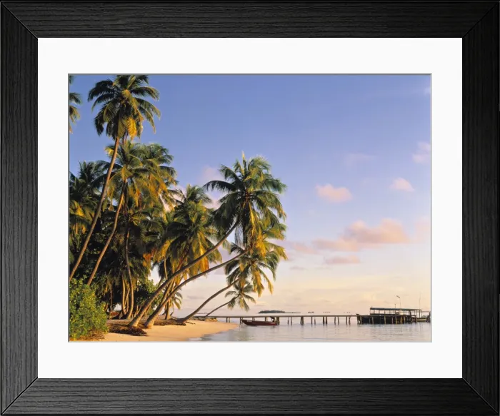 Framed Print : Beach on a Maldives Island Framed Print : Beach on a Maldives Island