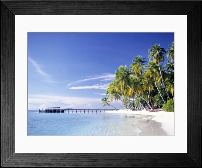 Framed Print : Palm trees and beach Framed Print : Palm trees and beach