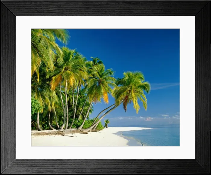 Framed Print : Palm Trees & Tropical Beach, Maldive Islands, Indian Ocean