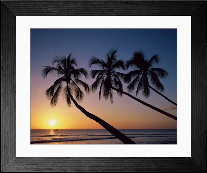 Framed Print : Palm Trees & Tropical Beach, Maldive Islands, Indian Ocean Framed Print : Palm Trees & Tropical Beach, Maldive Islands, Indian Ocean