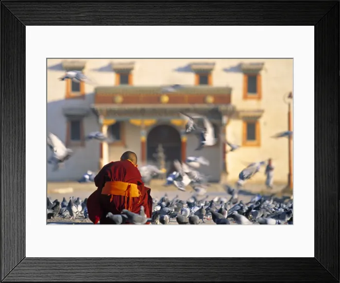 Framed Print : Gandan Khiid monastery Framed Print : Gandan Khiid monastery