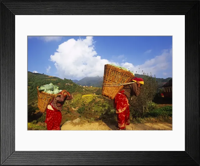 Framed Print : Nepal, Kathmandu, Markhu Valley Framed Print : Nepal, Kathmandu, Markhu Valley