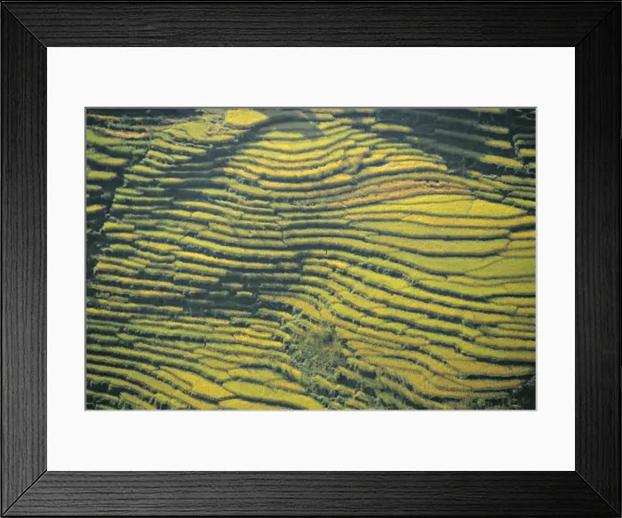 Framed Print : Terraced Fields Framed Print : Terraced Fields