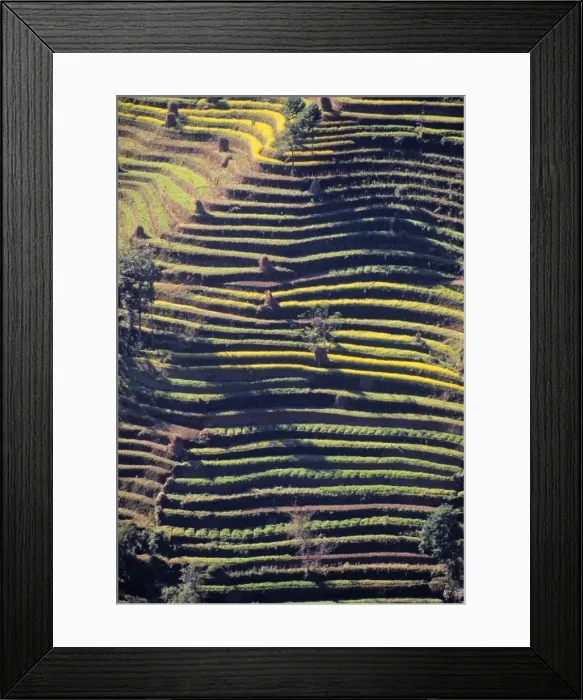 Framed Print : Terraced Hillside Framed Print : Terraced Hillside