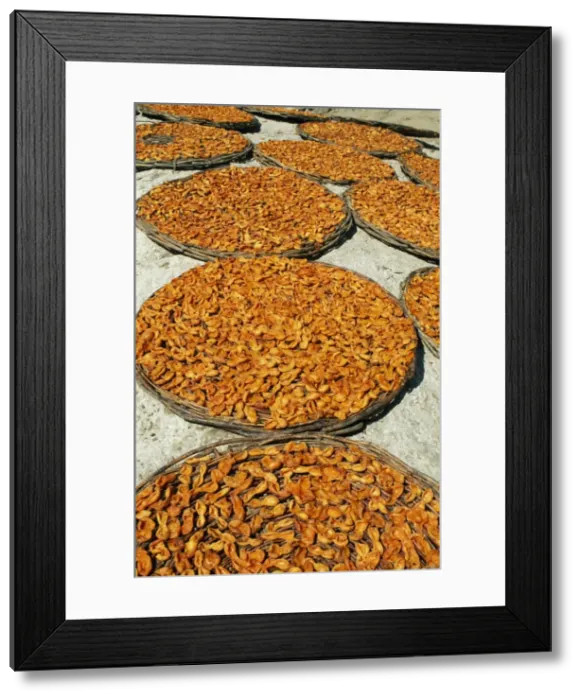 Framed Print : The Hunza Valleys celebrated apricots are laid Framed Print : The Hunza Valleys celebrated apricots are laid
