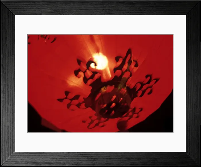 Framed Print : Lantern, Chinese New Year