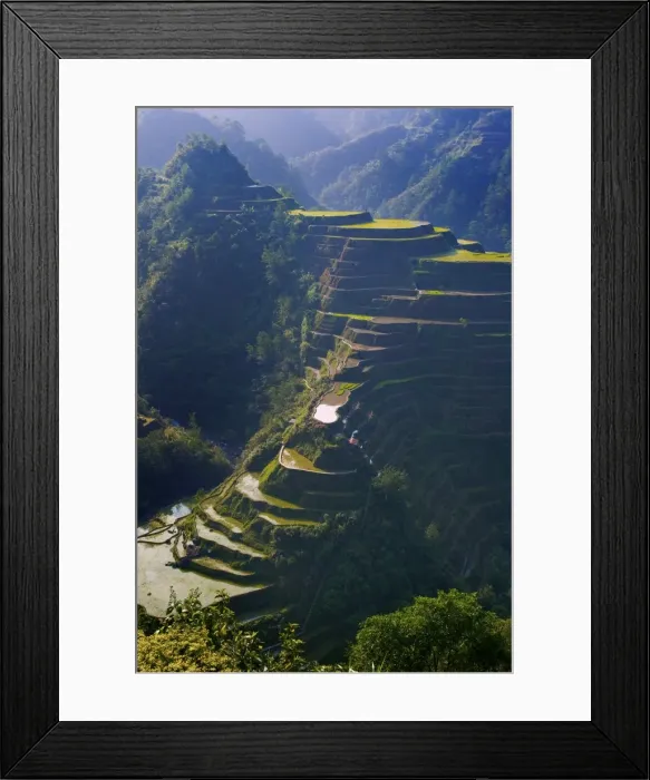 Framed Print : Rice terraces of Banaue, Luzon Island, Philippines Framed Print : Rice terraces of Banaue, Luzon Island, Philippines