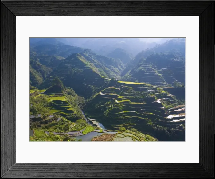 Framed Print : Rice terraces of Banaue, Luzon Island, Philippines Framed Print : Rice terraces of Banaue, Luzon Island, Philippines