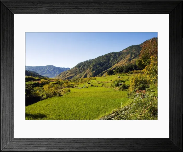 Framed Print : Philippines Framed Print : Philippines