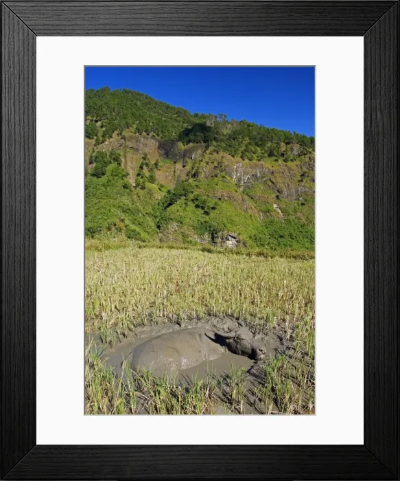 Framed Print : Philippines Framed Print : Philippines