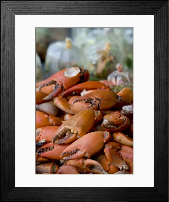Framed Print : Crabs, Bangkok, Thailand Framed Print : Crabs, Bangkok, Thailand