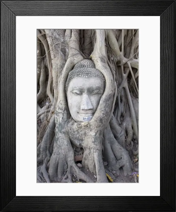 Framed Print : Buddha head Framed Print : Buddha head