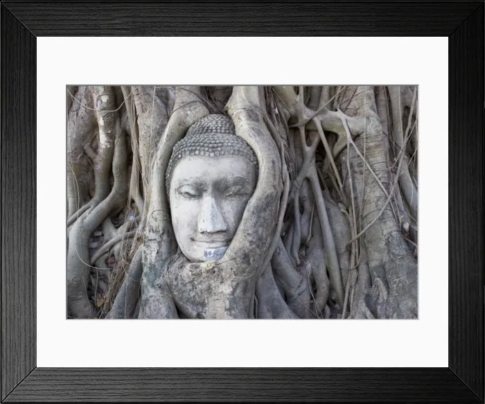 Framed Print : Buddha head Framed Print : Buddha head