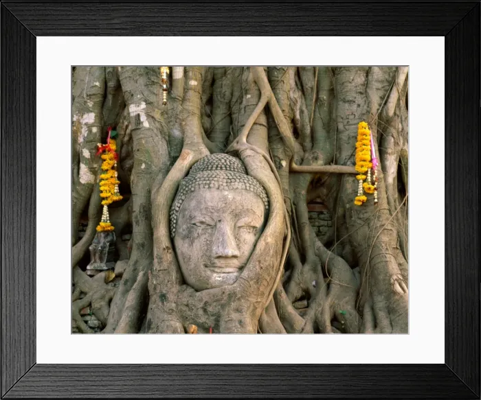 Framed Print : Wat Mahathat  /  Buddha Head