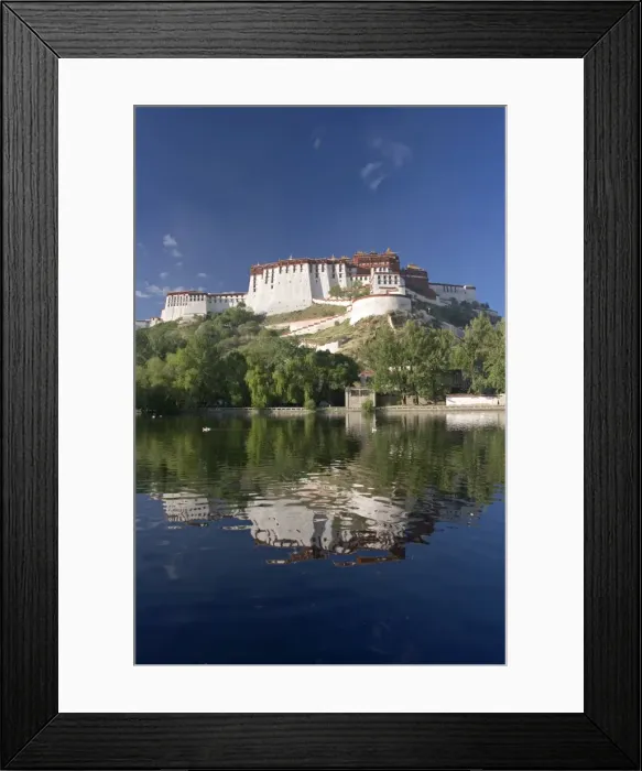 Framed Print : Potala Palace Framed Print : Potala Palace