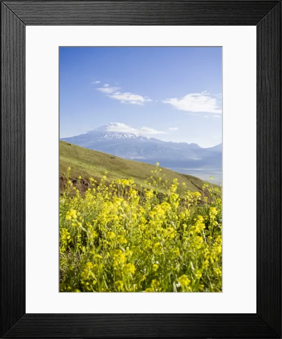 Framed Print : Turkey, Eastern Turkey, Dogubayazit, Mount Ararat Framed Print : Turkey, Eastern Turkey, Dogubayazit, Mount Ararat