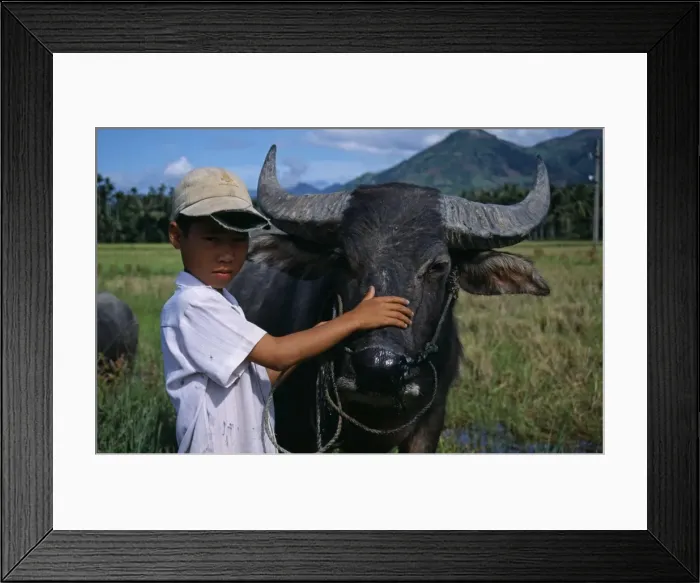 Framed Print : Vietnam, Khanh Hoa Province, Near Nha Trang Framed Print : Vietnam, Khanh Hoa Province, Near Nha Trang