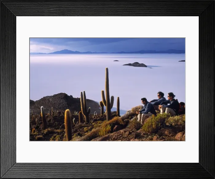 Framed Print : Tourists enjoy the view from the top of Isla de Pescado Framed Print : Tourists enjoy the view from the top of Isla de Pescado